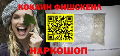 СК Бийск