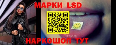 СК Бийск