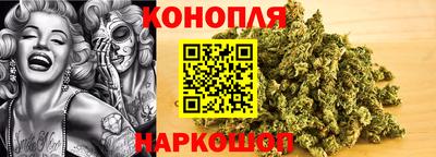 СК Бийск