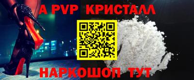 СК Бийск