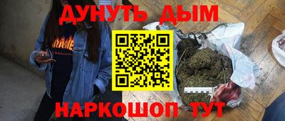 СК Бийск