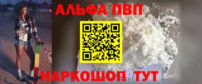 СК Бийск