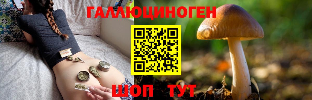 Псилоцибиновые грибы прущие грибы  Галлюциногенные грибы GOLDEN TEACHER  Вход с VPN  Камышин 